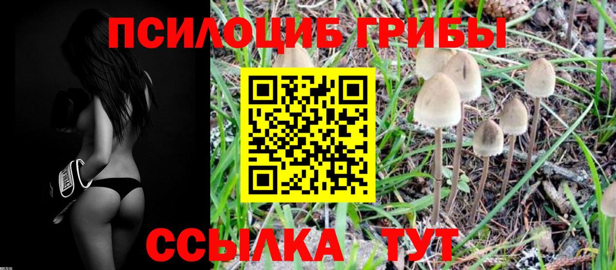 Галлюциногенные грибы Psilocybine cubensis  где можно купить наркотик  Ангарск  Вход с VPN 